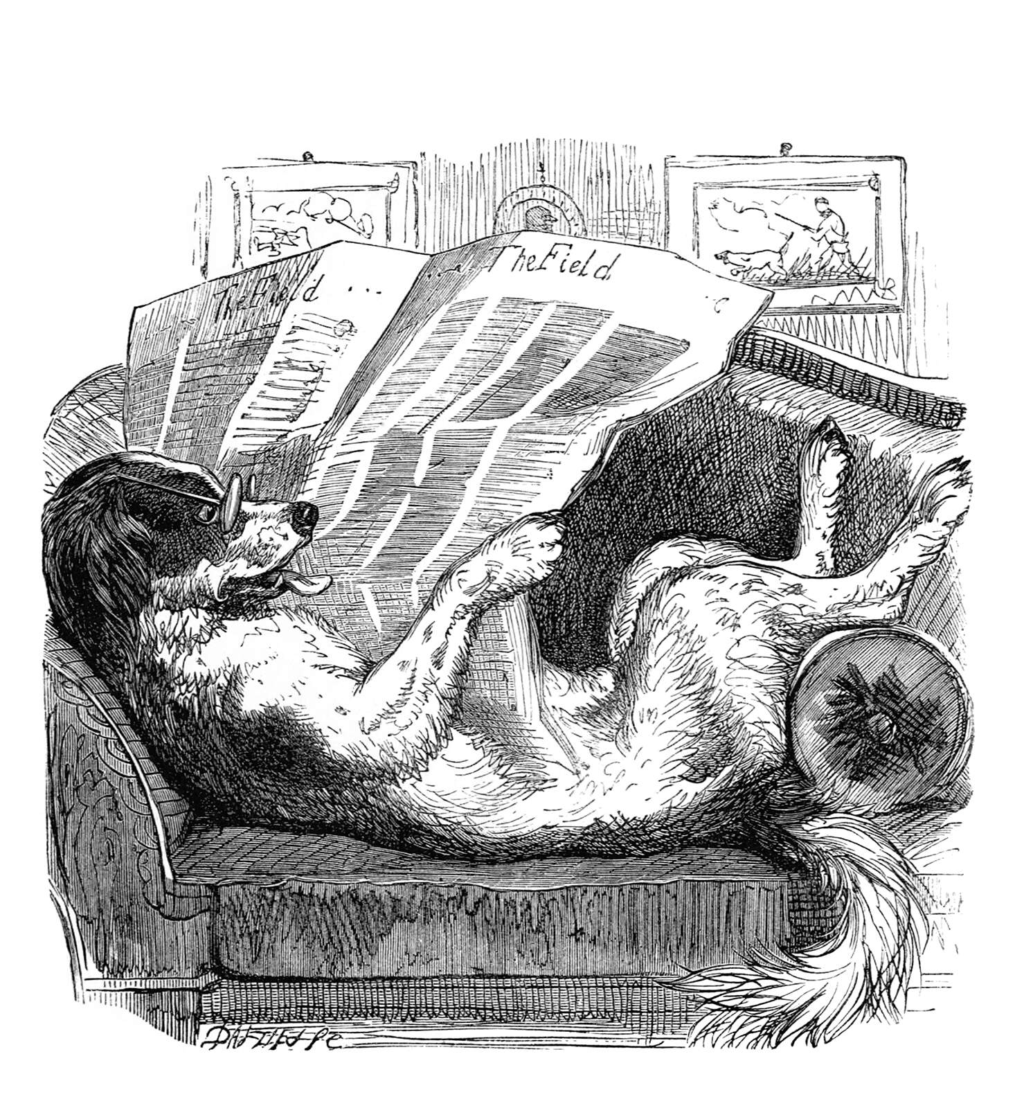 A dog reads the newspaper