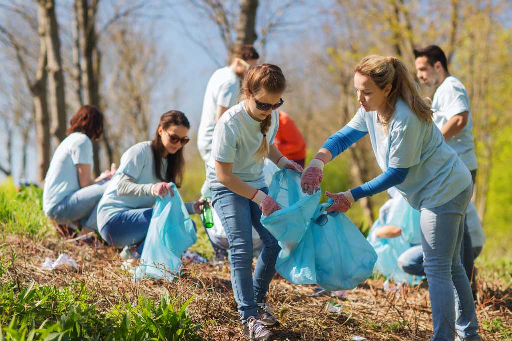 volunteers cleaning up trash on a hillside