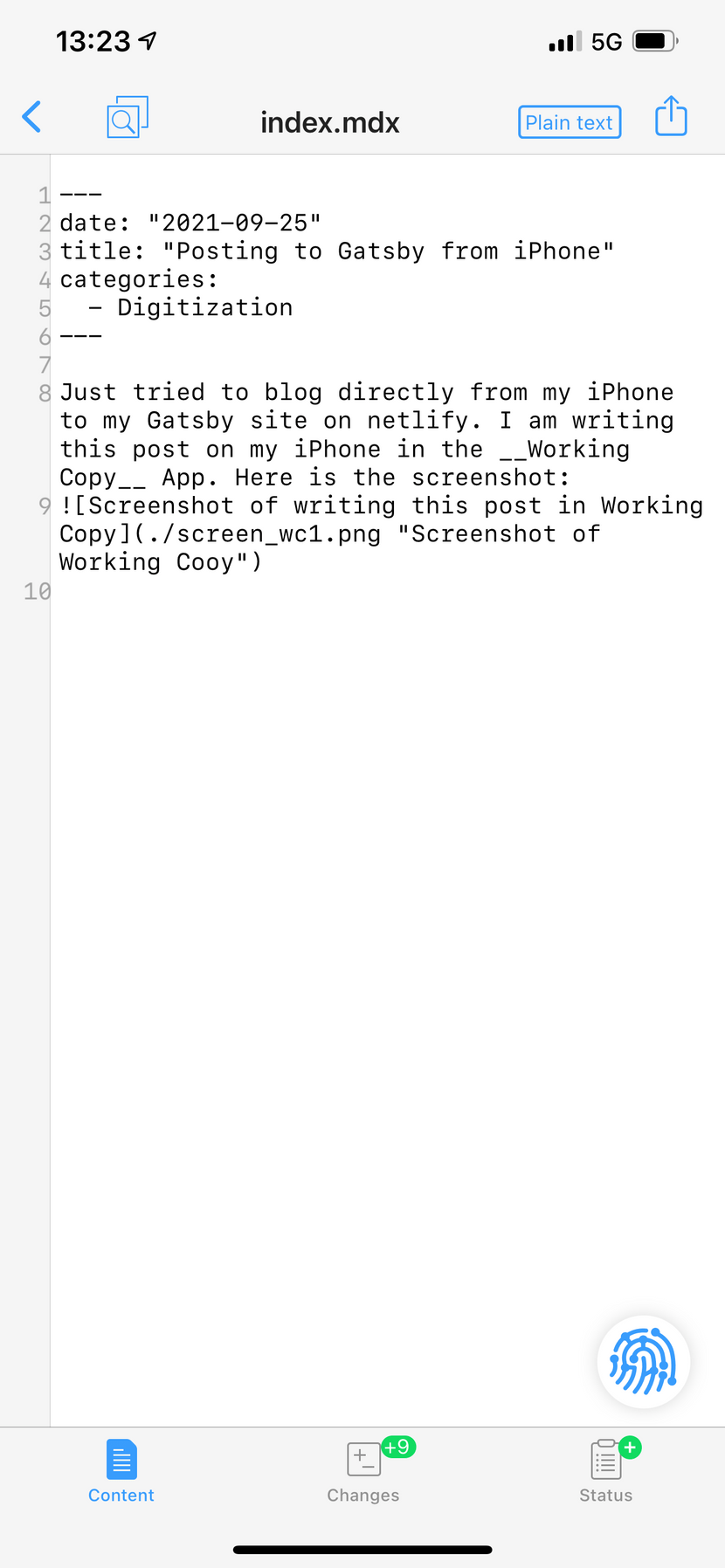 Screenshot of writing this post in Working Copy