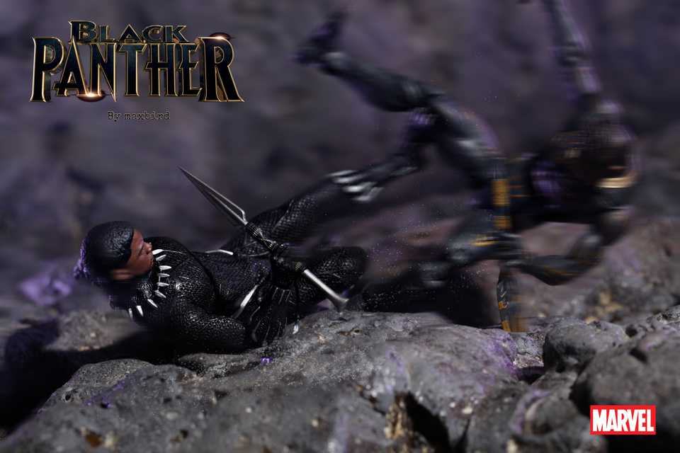 Black Panther With Cloak