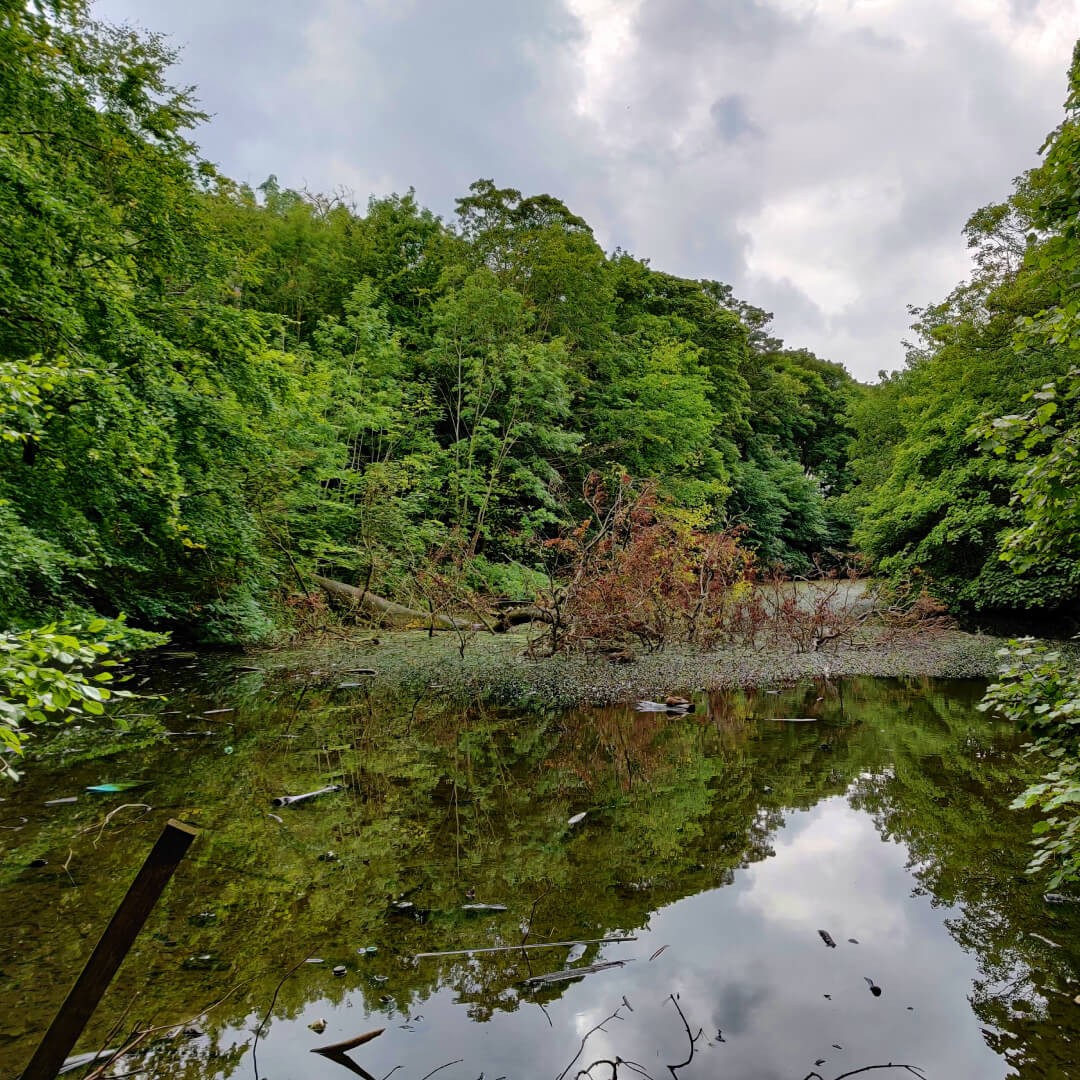 Farnley Hall Fish Pond Discover Leeds