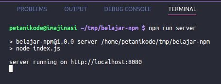 Execute the Nodejs Server Script