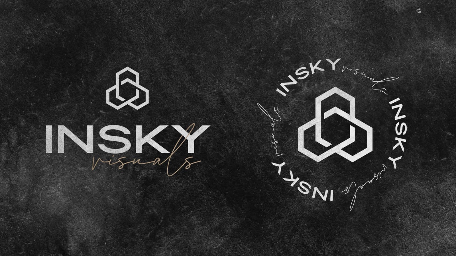 Insky Logo & alternative icon on a slate background