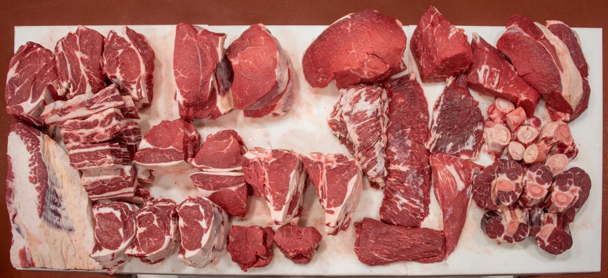 Example half beef laid out on table