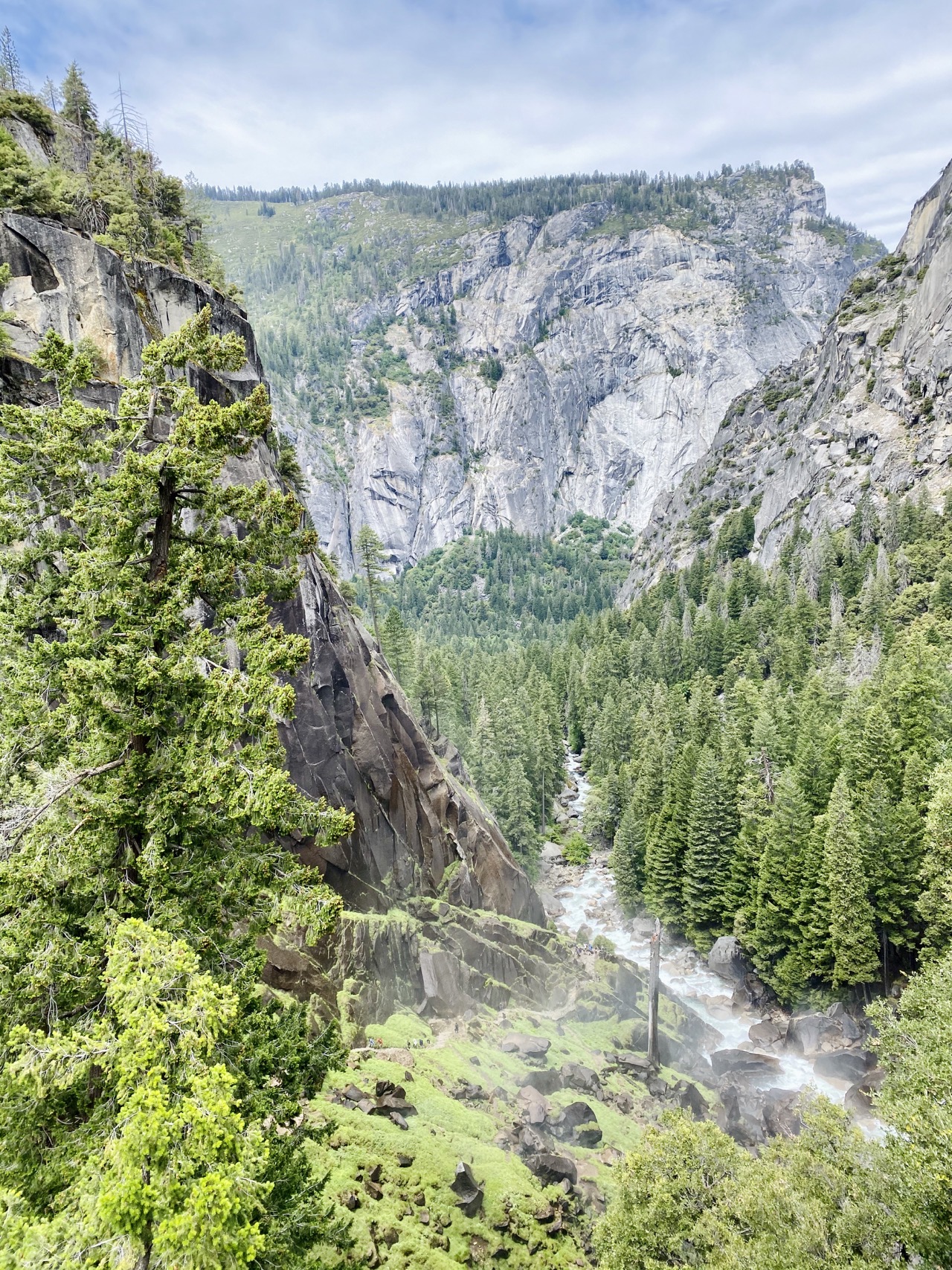 Yosemite green