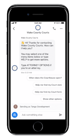 Chatbots for Government