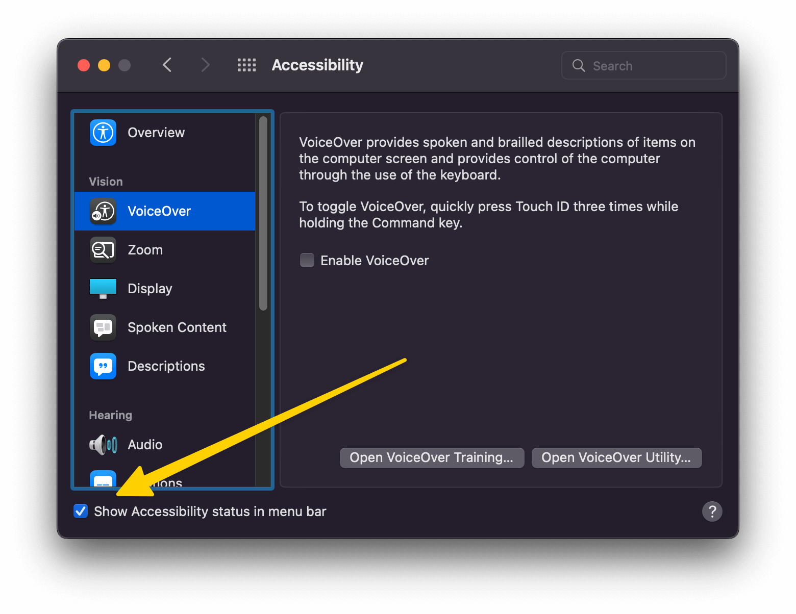 The accessibility panel in MacOS settings