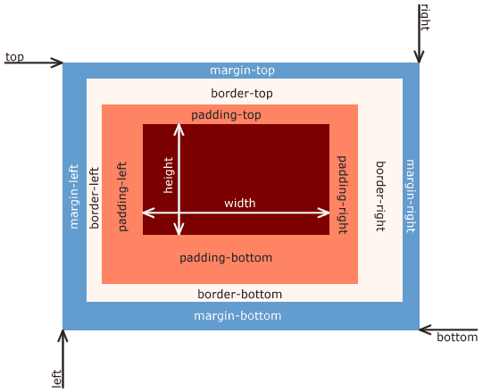 CSS Box Model with margin, padding, and border