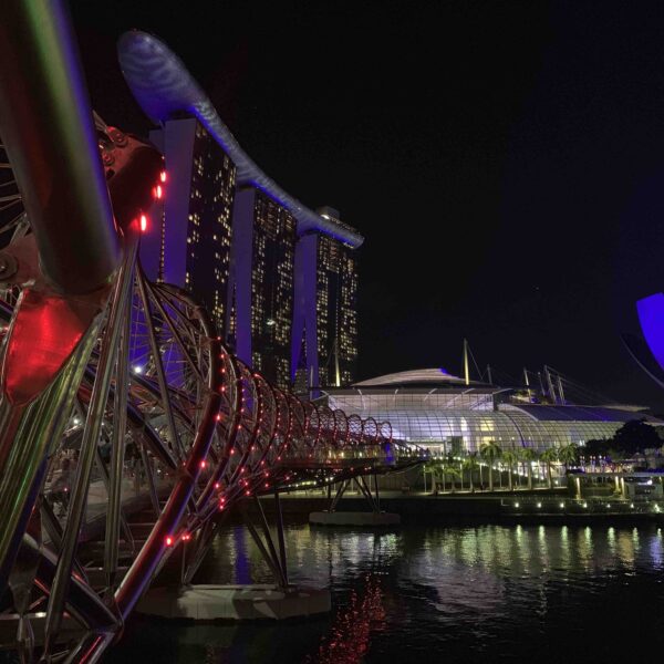 Singapore Helix Bridge Night