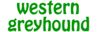 western greyhound penzance penwith bus service