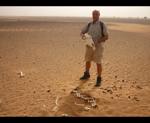 Sudan Desert Walk 7