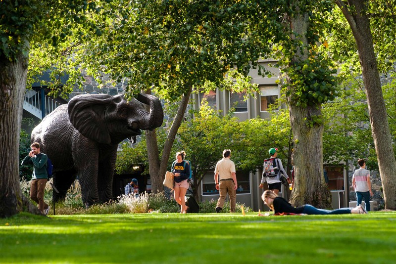 Tufts University students walking passed the elephant mascot statue on the quad
