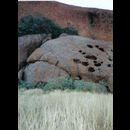 Uluru 8