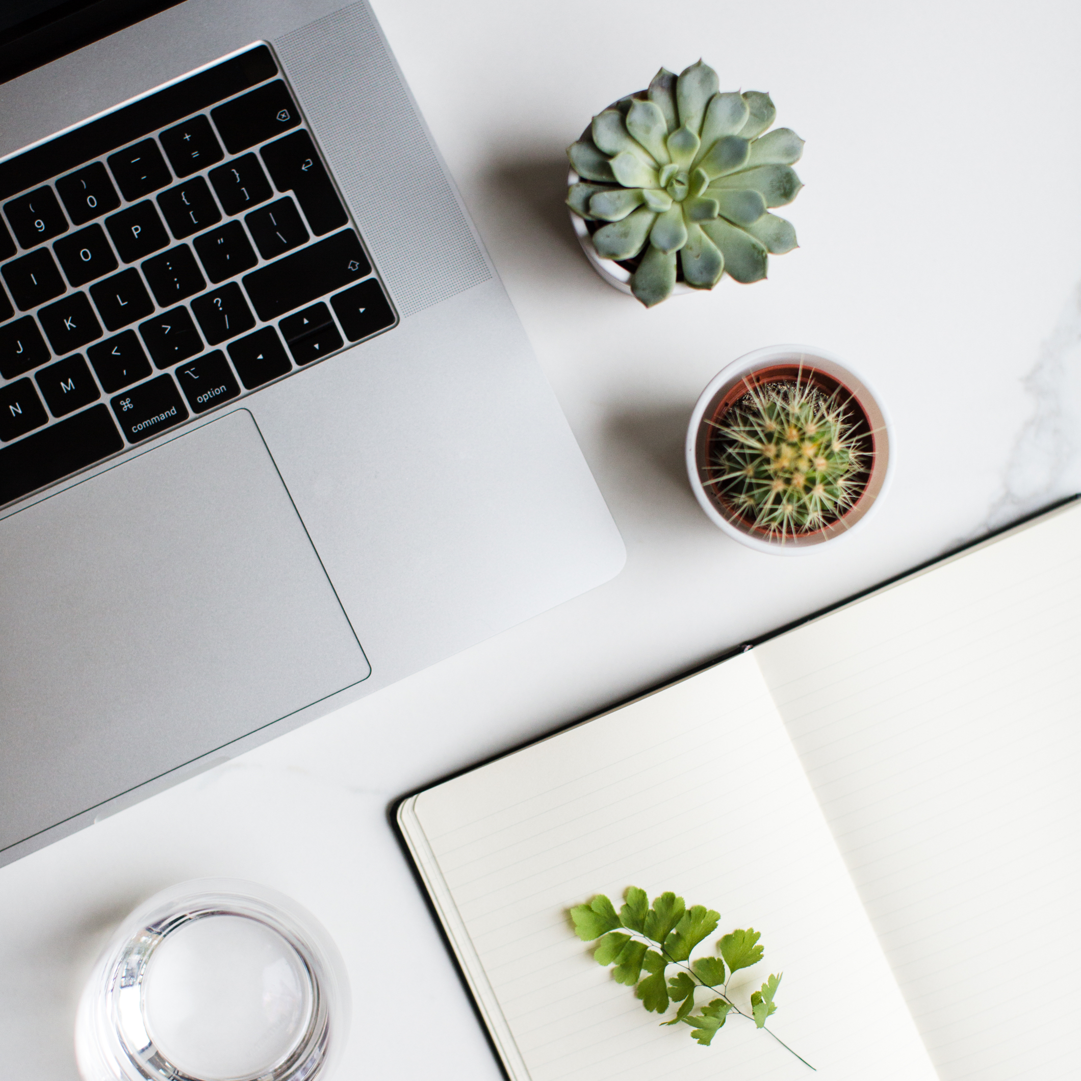 Jack Watkins branding flat lay, with MacBook, succulents, plants, Moleskine notepad and glass of water