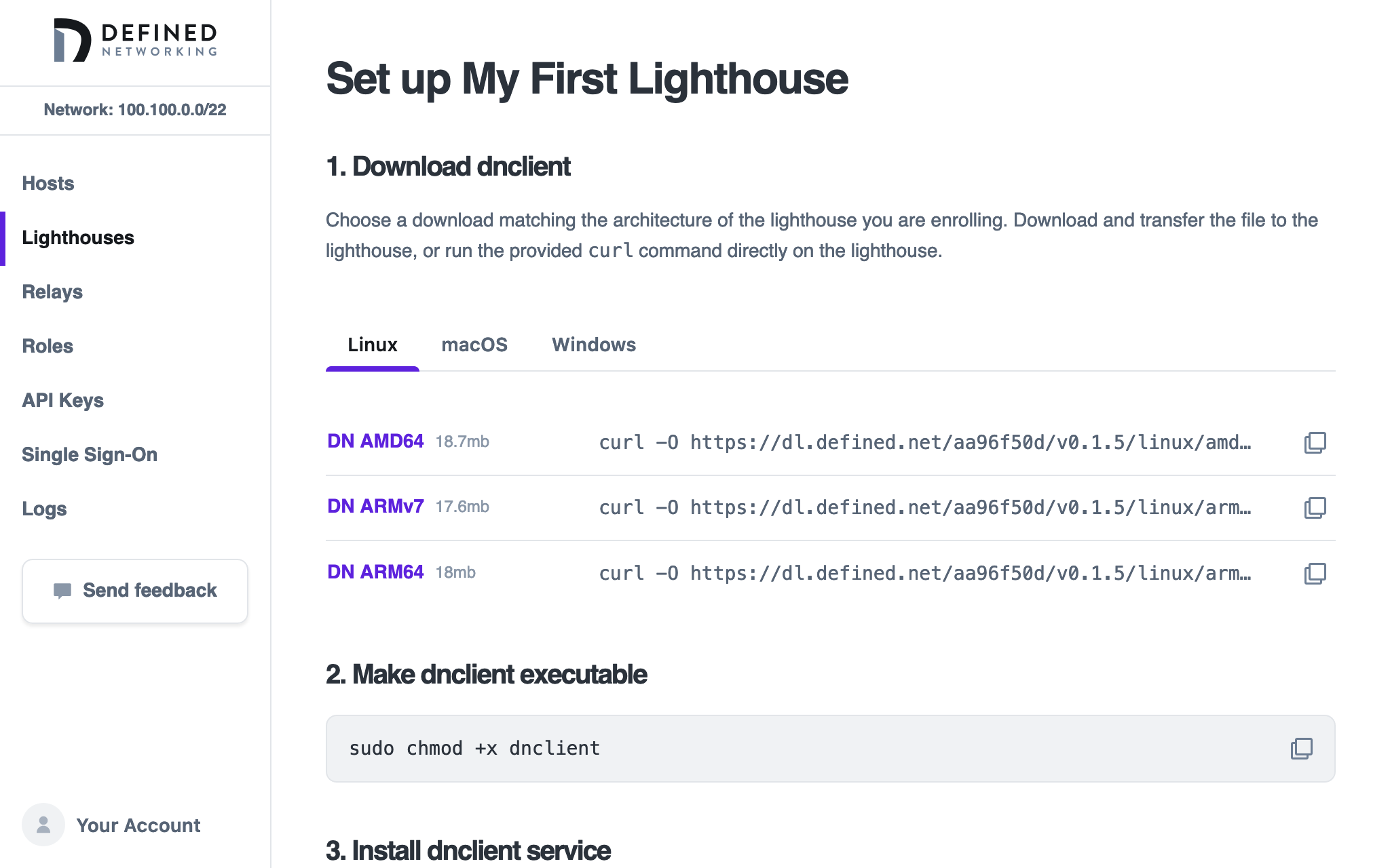 Enroll page for a new lighthouse named 'My First Lighthouse'. It shows 3 steps, with more pas the edge of the screen: Download dnclient, Make dnclient executable, Install dnclient service.