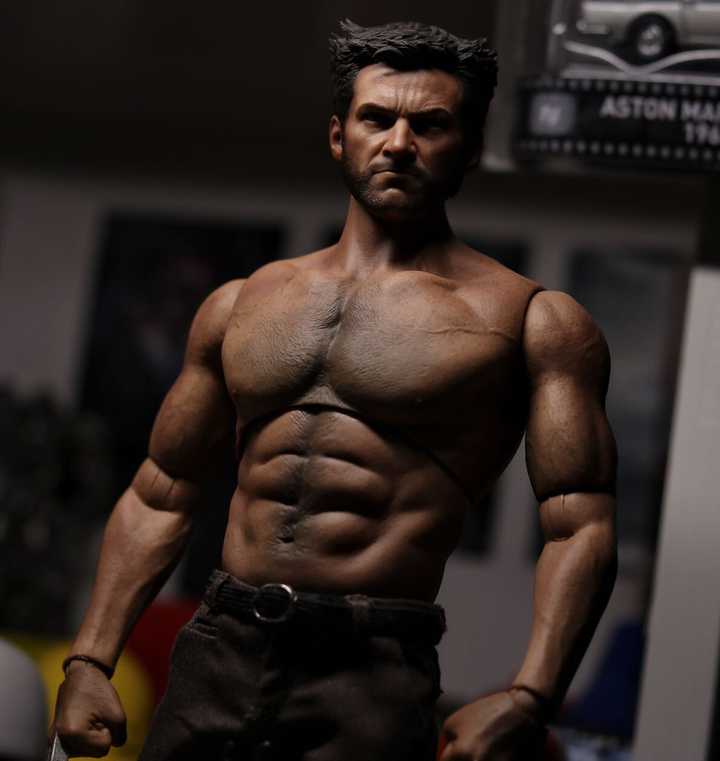 Hot Toys Wolverine with World Box AT012 Body | Figround