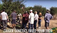 Zaiger Genetics Fruit Tour
