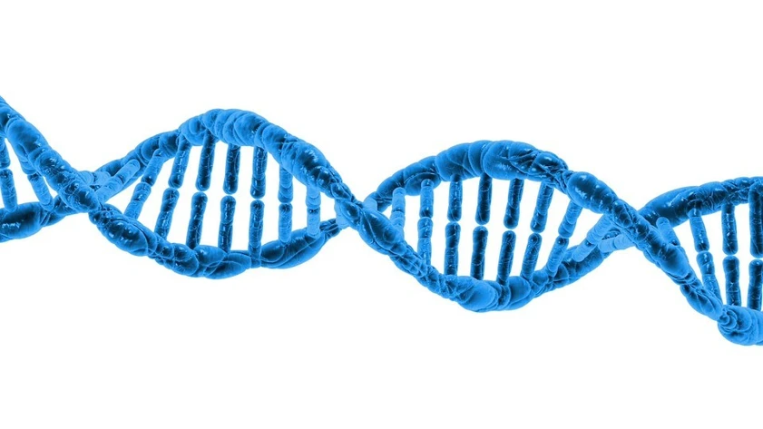 How to improve your Digital DNA