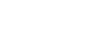 profitroom-partners-logo-orbitz