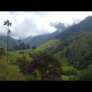 Colombia Valle Cocora 14