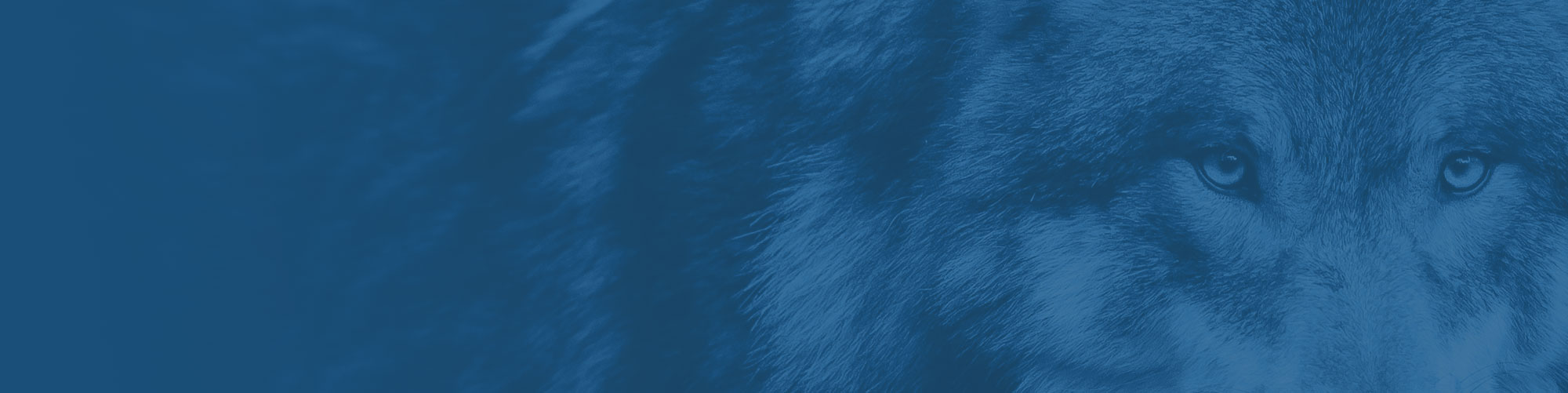 Arctic Wolf Raises $60 Million to Further Fuel the Company’s Exponential Growth