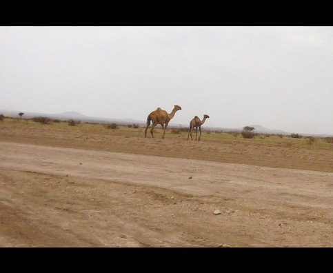 Somalia Border Road 12