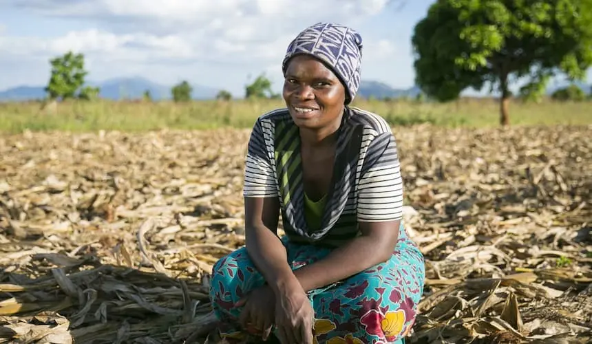 A women farmer in Malawi with a conservation agriculture plot.