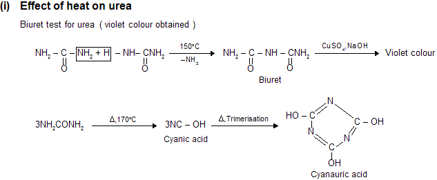 Amines Urea 7 · 5278