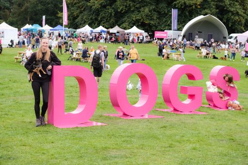 Our experience at Dog Fest 2021