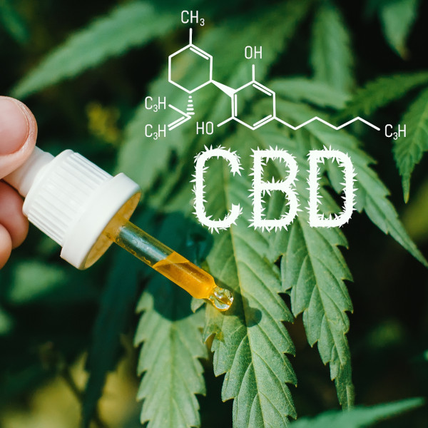 Does CBD Oil Make You Feel High Or Intoxicated?