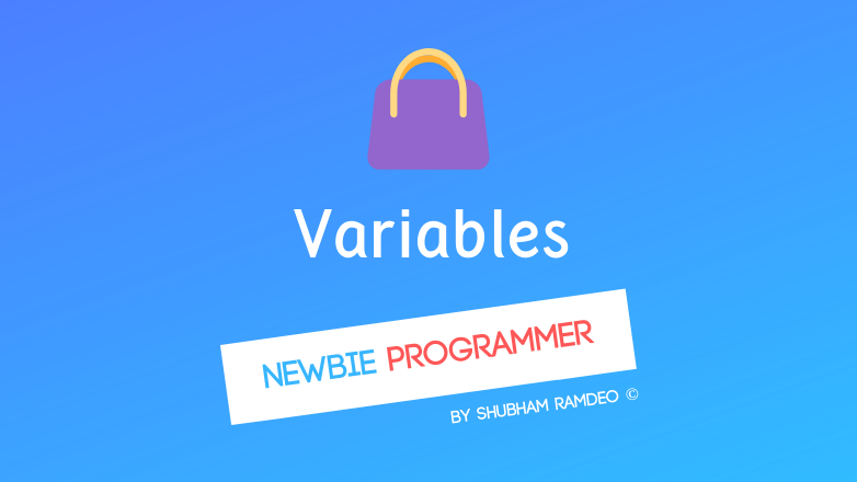 Variables a handbag to store data!
