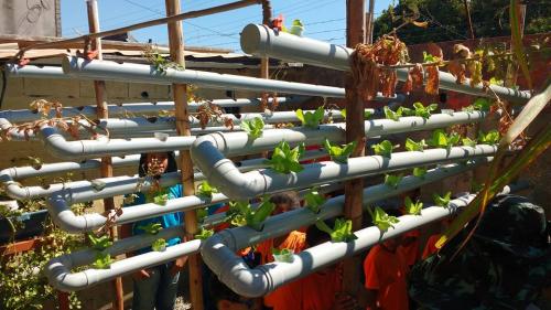 Educação ambiental em escola da capital mineira é um exemplo a ser seguido 7 undefined