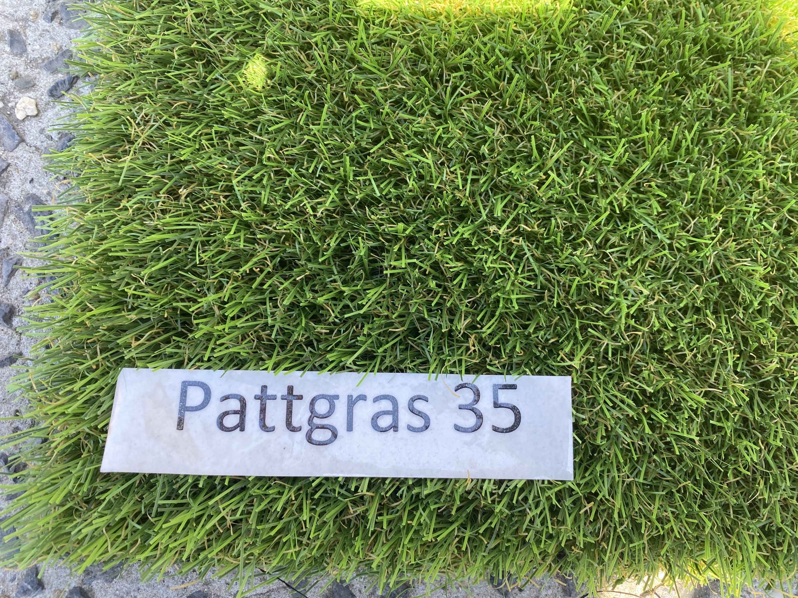 Foto van Pattgras 35