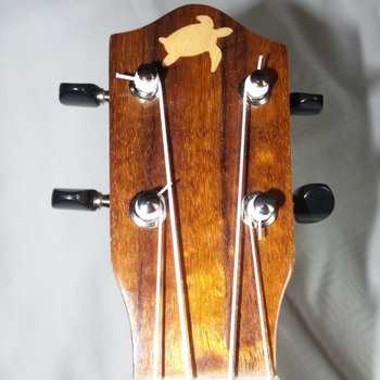 Picture of A Custom Ukulele project