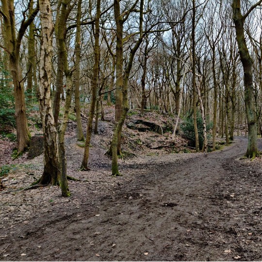 Bramley Fall Park & Woods Discover Leeds