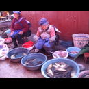 China Yunnan Life