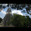 Guatemala Tikal 11