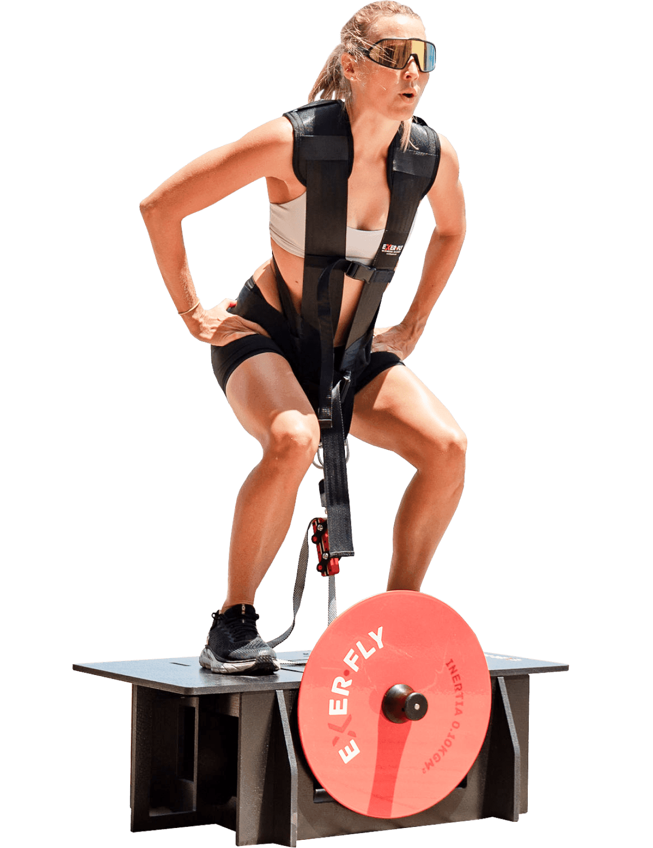 Exerfly Sport Home of advanced flywheel training technology and equipment