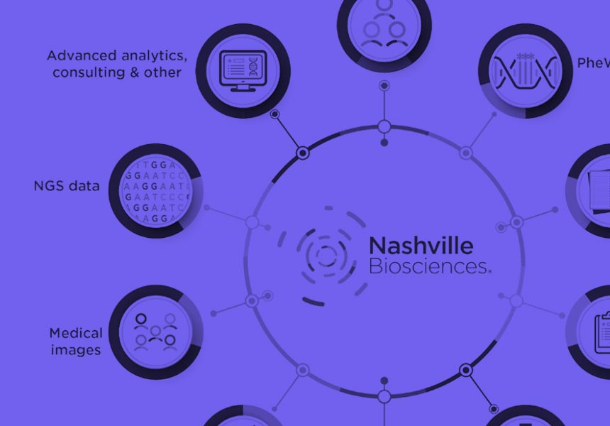 Image of a diagram depicting Nashville Bioscience's areas of innovation.