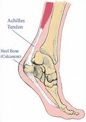 "Plantar