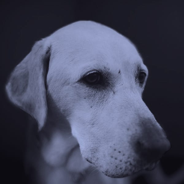 Black and white photo of Mojo Emma