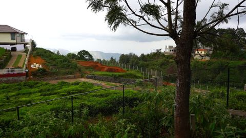 Scenery from plot 56
