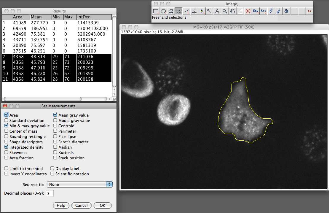 step/246/pser-imagej-setup.png