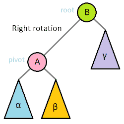 A Tree Rotating Left and Right