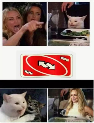 Uno Reverse Card Meme (Chonky Cat)