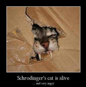 schrodinger's cat 