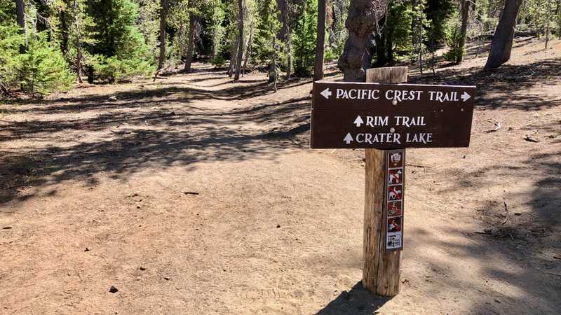 The junction of the PCT and Crater Rim alternate