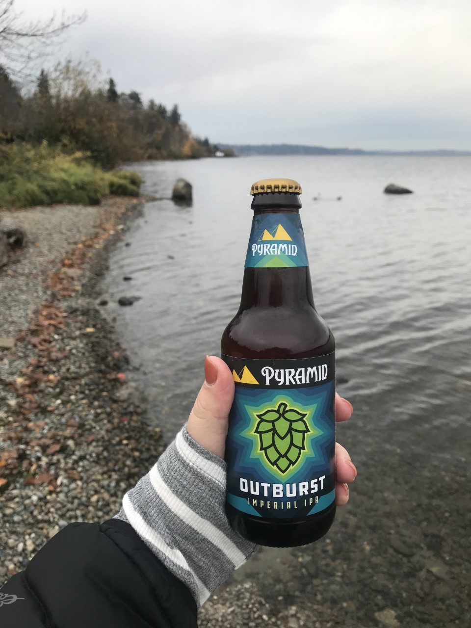 Hand holding a bottle of Pyramid Outburst IPA in front of a calm shoreline, with an overcast sky and treeline in the background.