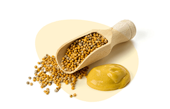 Mustard is one of the EU 14 Major Food Allergens, Erudus lets you easily see if a product contains this or any of the allergen ingredients