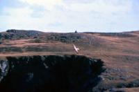 A Gyrfalcon flying around the cliffs